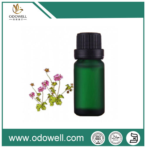 What is the source or origin of Gamma Nonalactone?