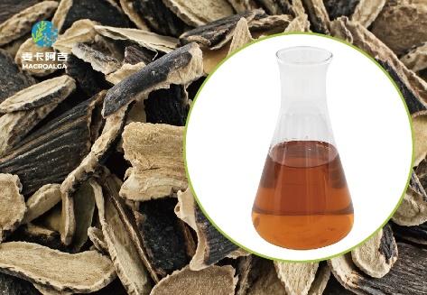 Top-Ranked Ecklonia Maxima Extract Suppliers in China